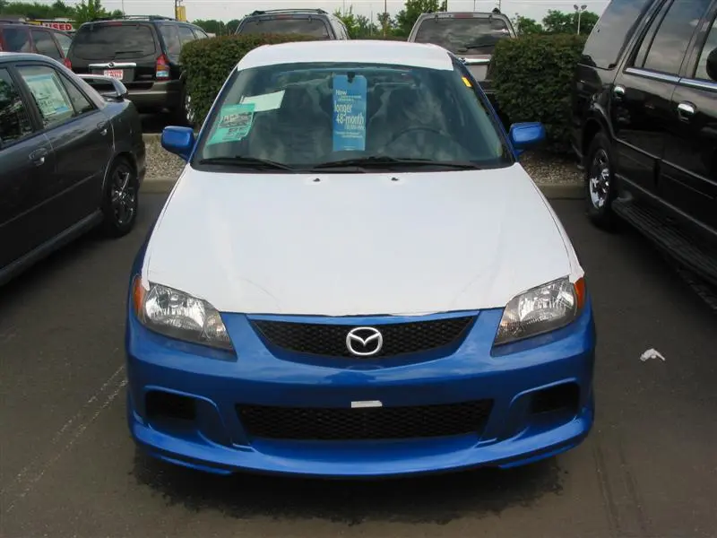 img_1737 (medium).webp