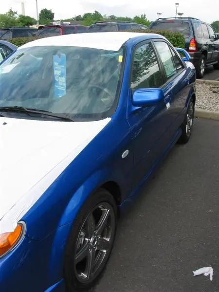 img_1738 (medium).webp