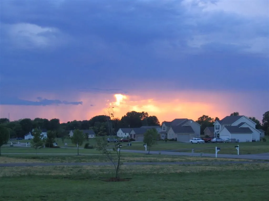 IMG_1933 (Large).webp