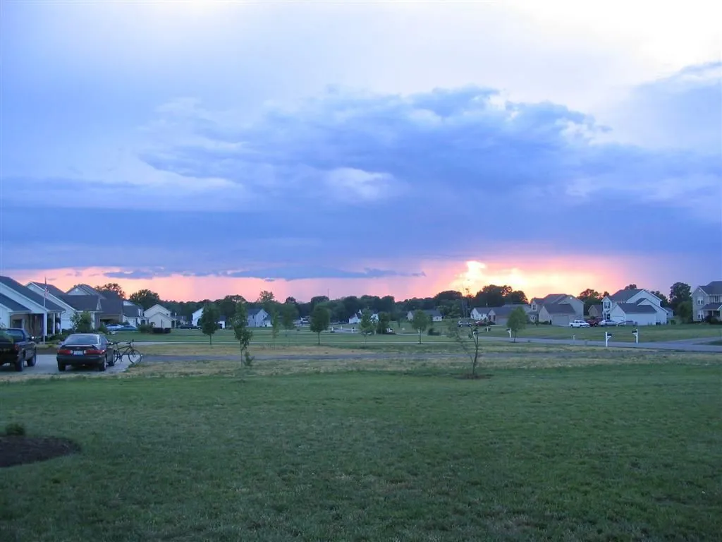 IMG_1935 (Large).webp