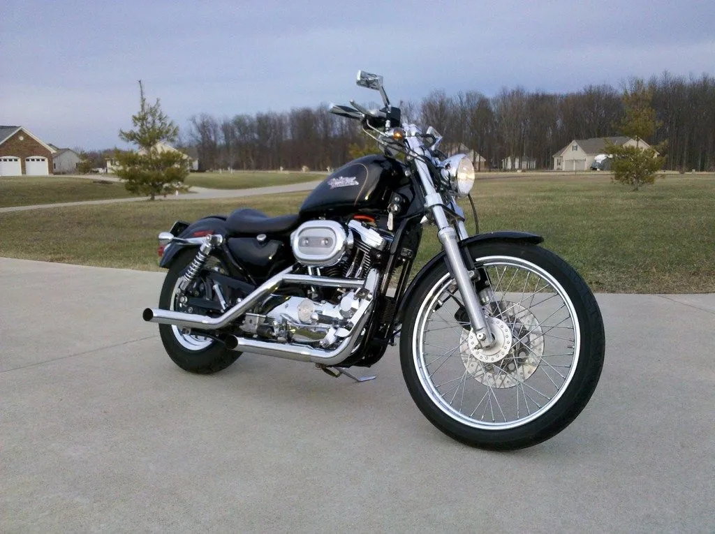 IMG_20110303_175559 [1024x768].webp