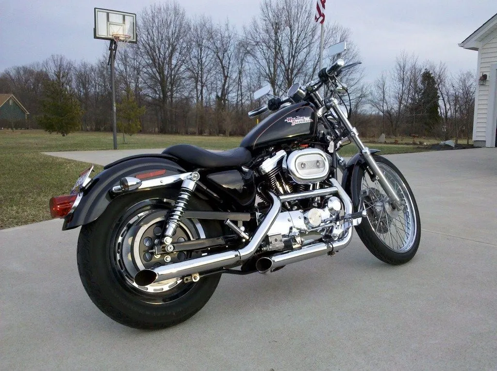 IMG_20110303_175610 [1024x768].webp