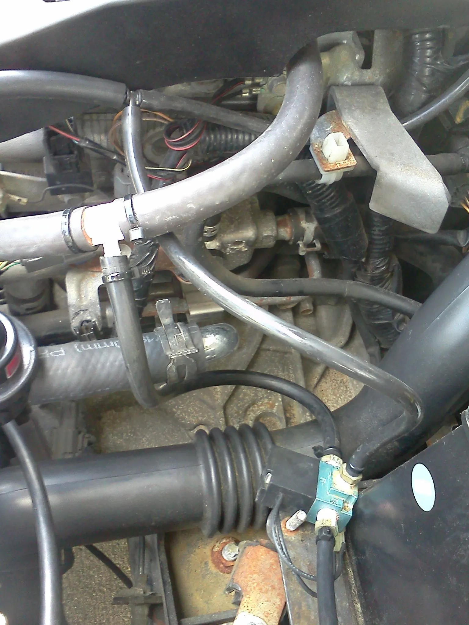 IMG_20110813_152647.jpg