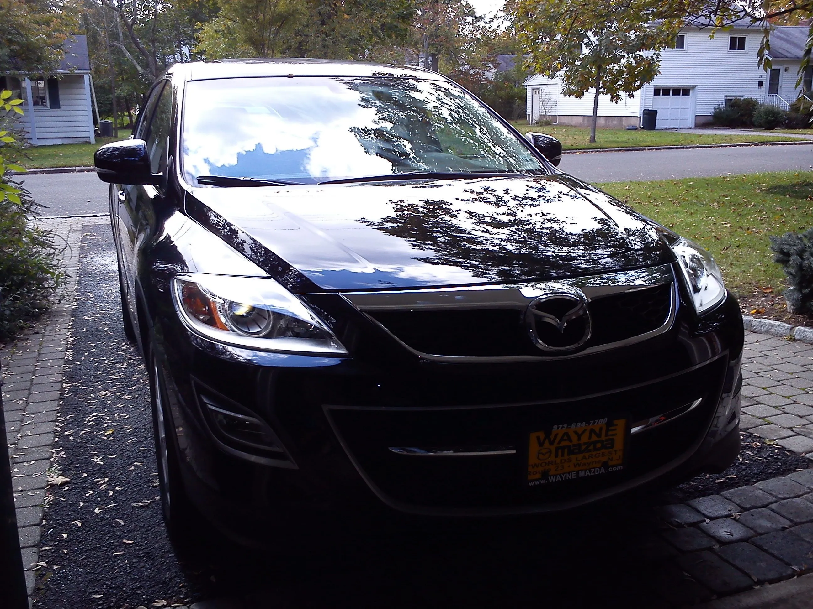 IMG_20111022_141620.jpg