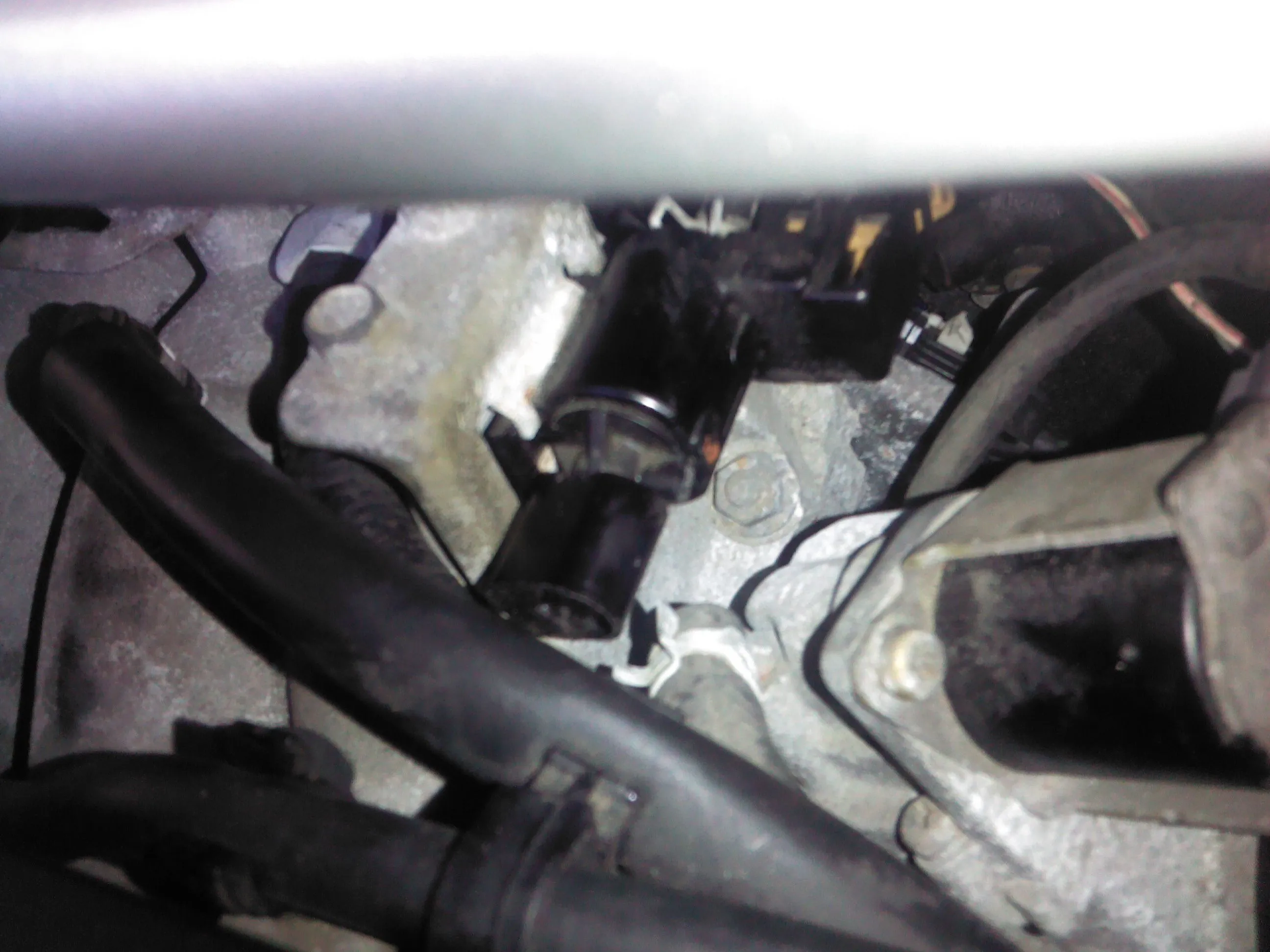 IMG_20120124_085057.jpg