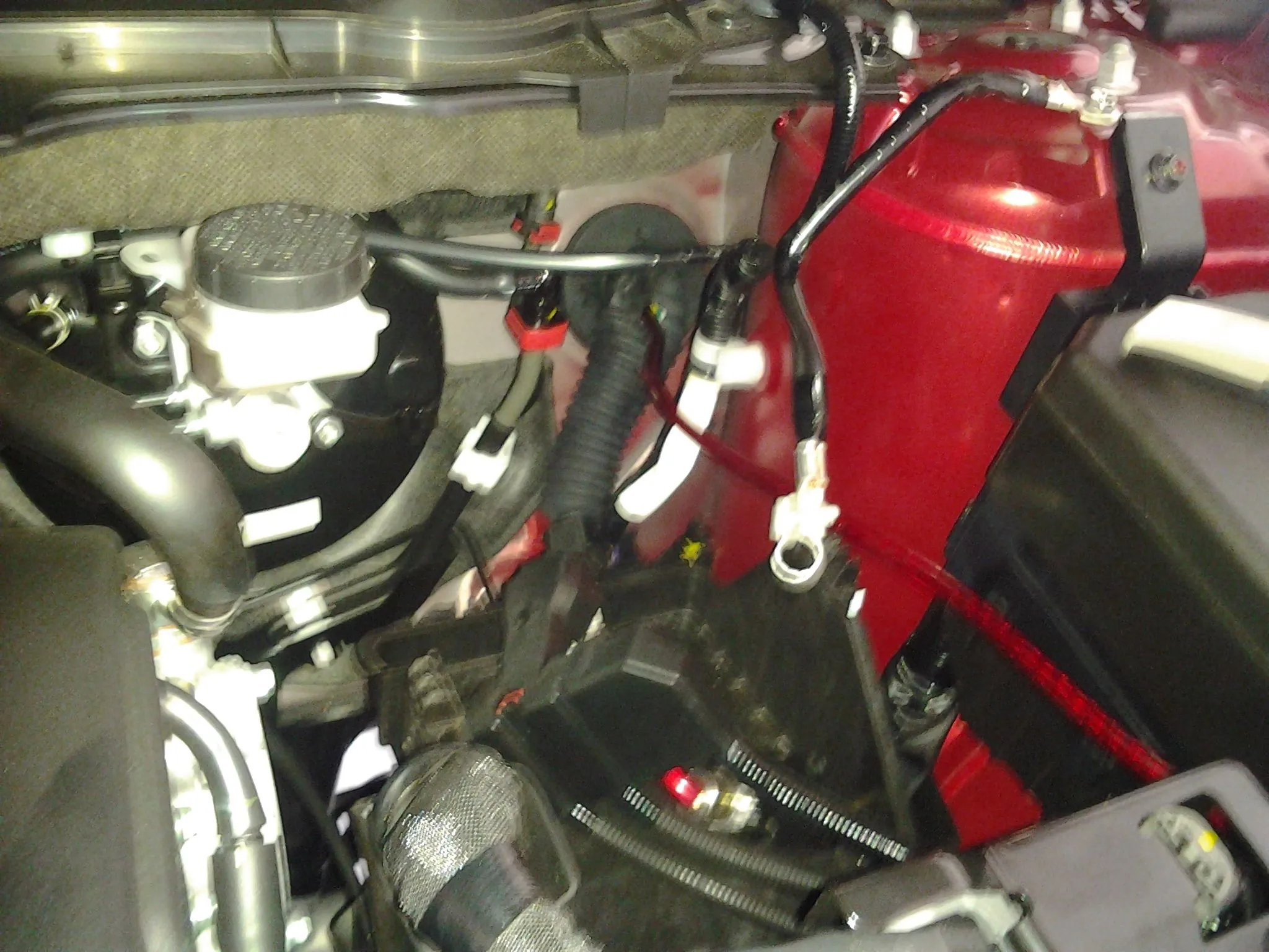 IMG_20120720_105814.jpg