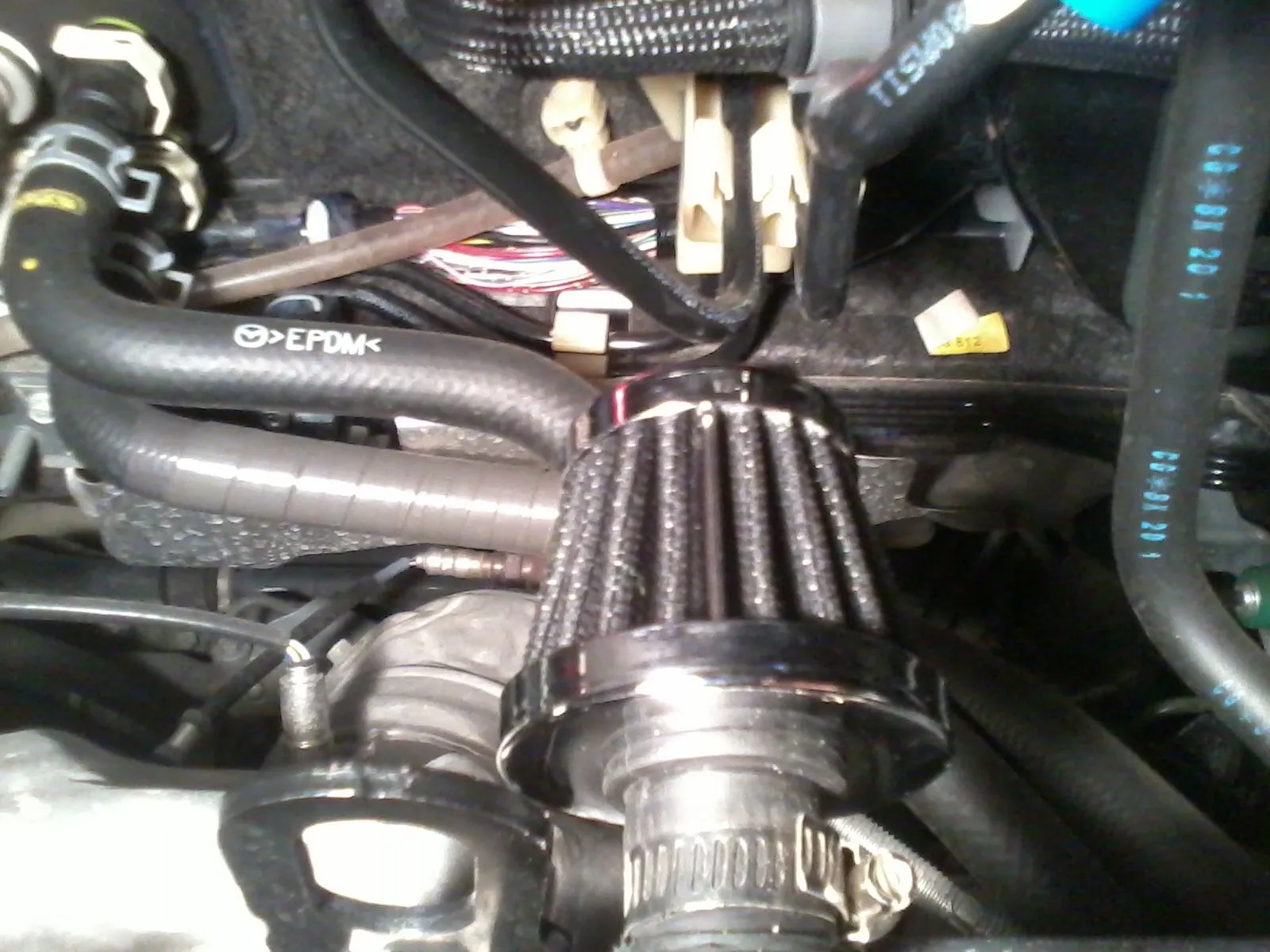 IMG_20130507_213323.jpg