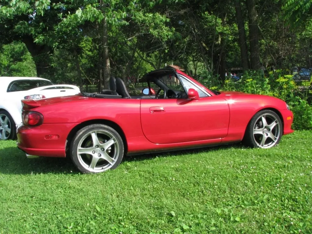 IMG_2017 - Copy.webp