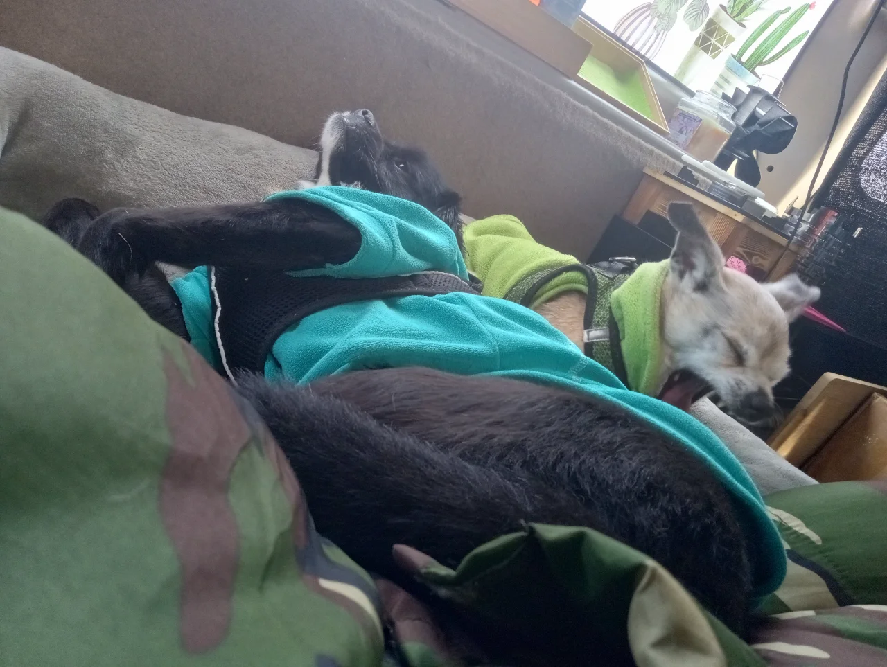 IMG_20241130_121850510_HDR.webp