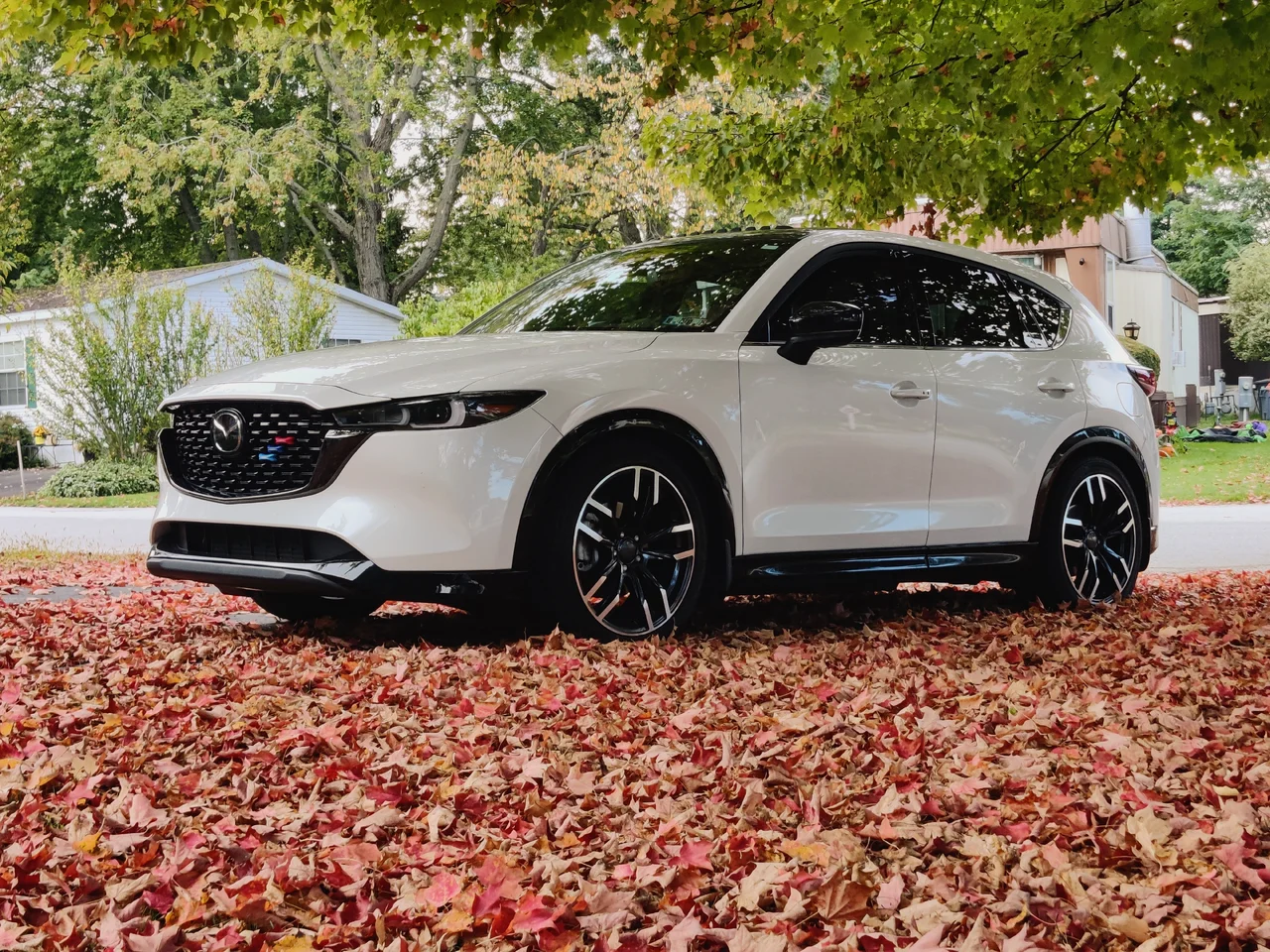 IMG_20250927_115151 (2).webp