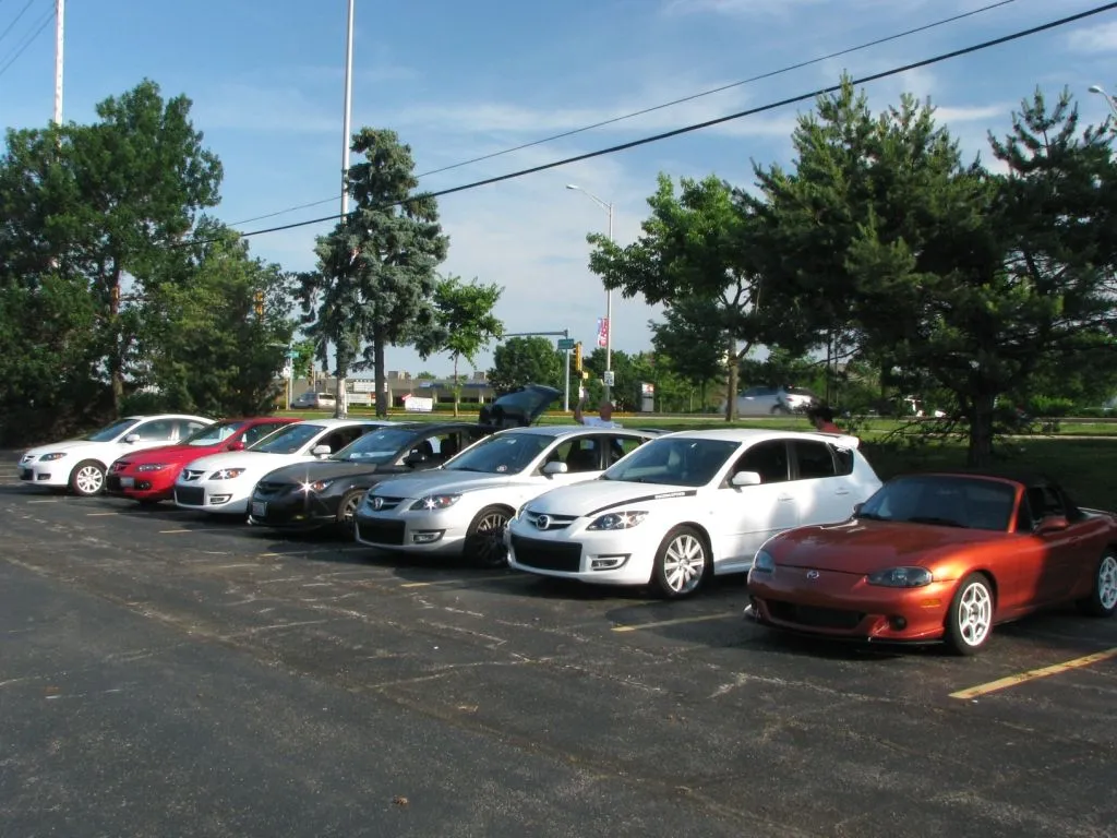 IMG_2047 - Copy.webp