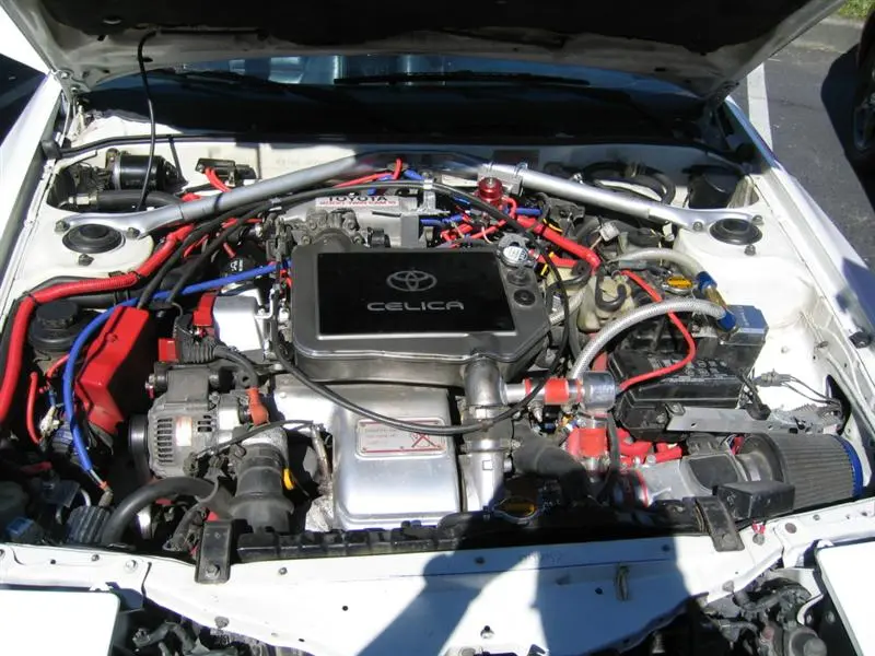 IMG_2594 (Medium).webp