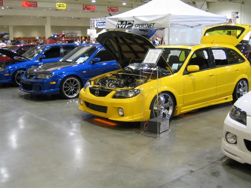 IMG_3774 (Large).JPG