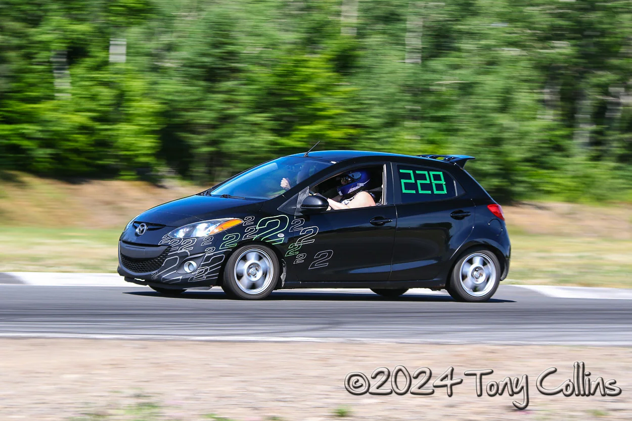 IMG_4008-vi.webp