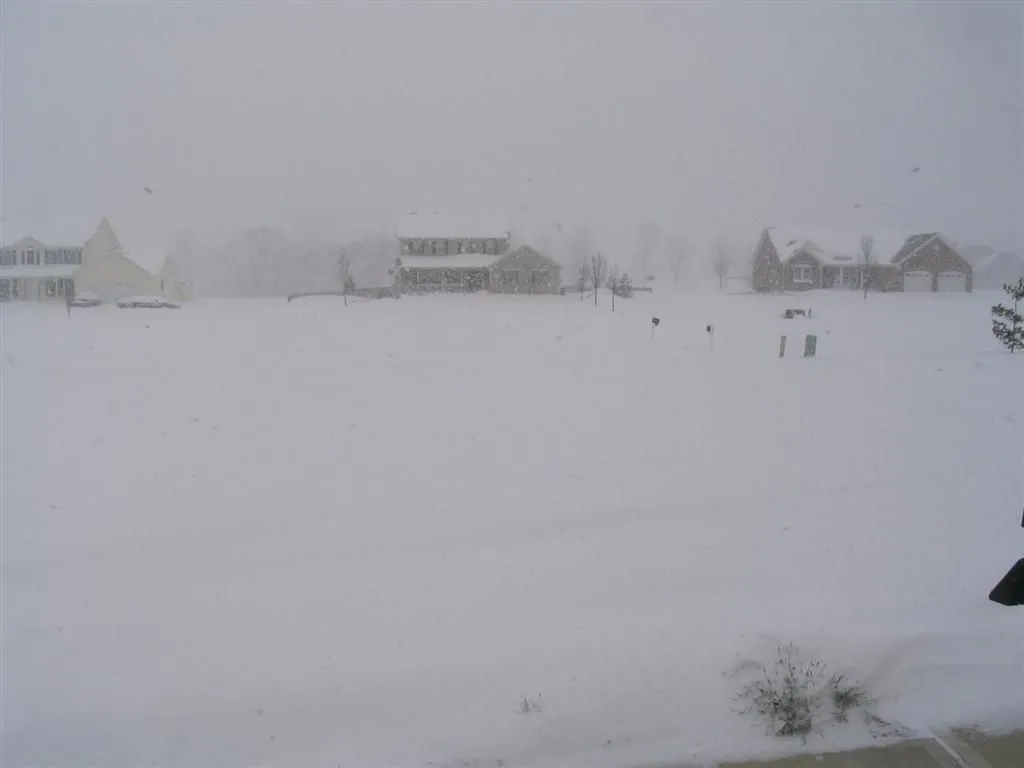 IMG_4155 (Large).webp