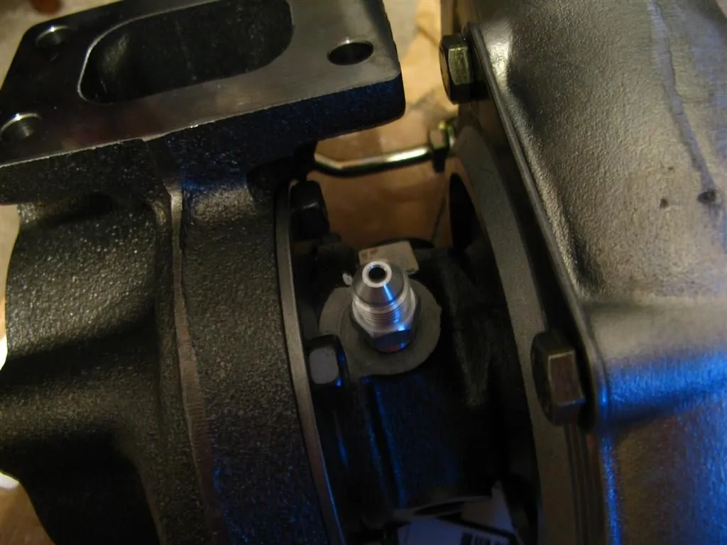 IMG_5001 (Large).webp