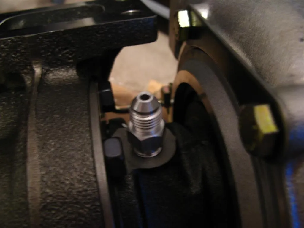 IMG_5002 (Large).webp