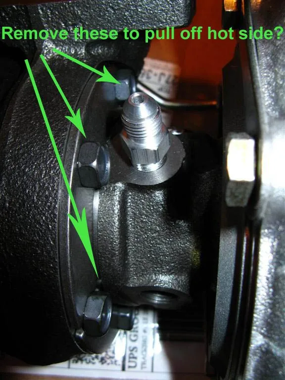 IMG_5008 (Large) text.webp