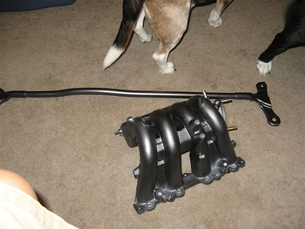 IMG_5088 (Large).webp