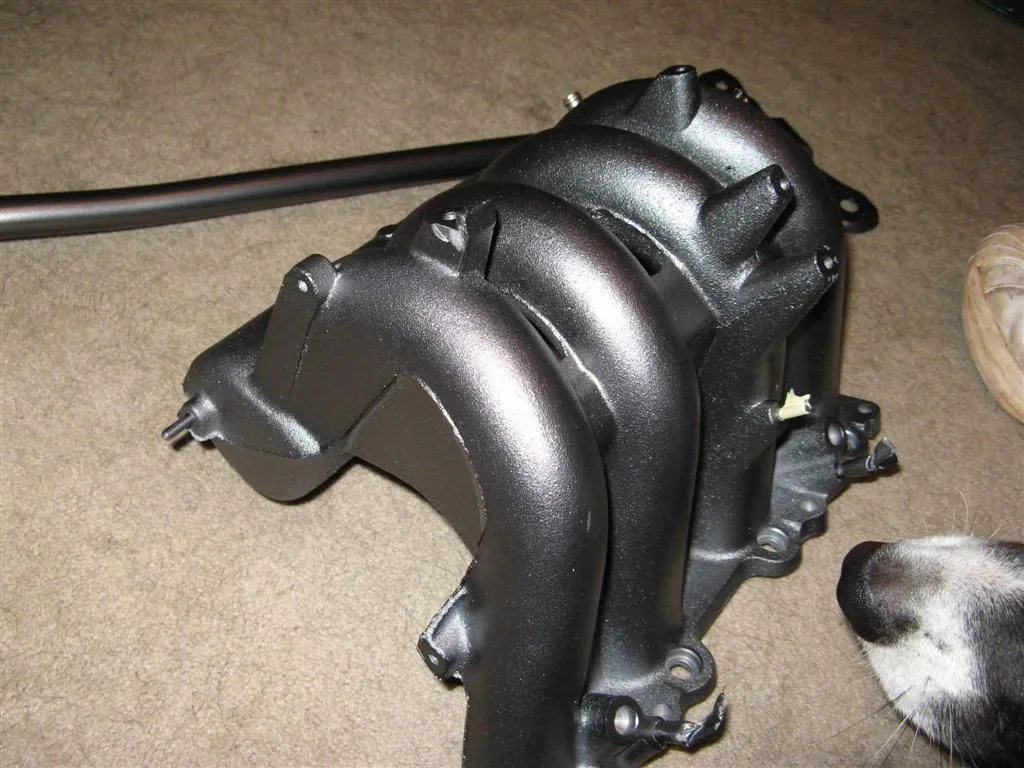 IMG_5089 (Large).webp