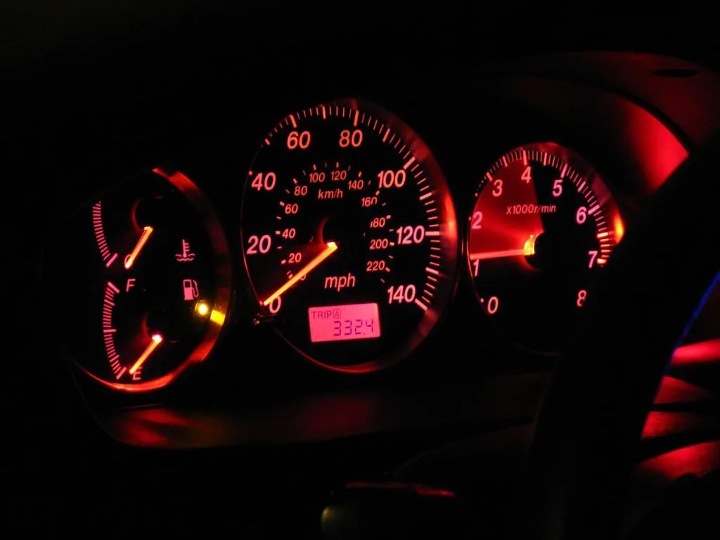 IMG_5651 (Large).webp