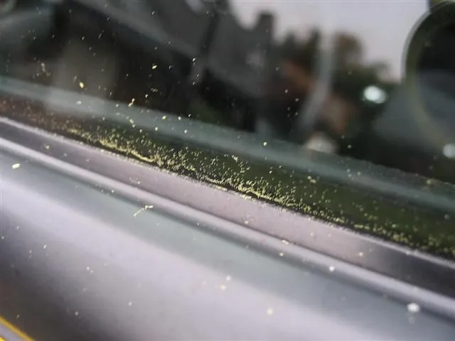 IMG_7531 (Small).webp