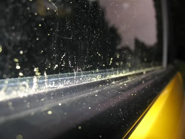 IMG_7535 (Small).webp