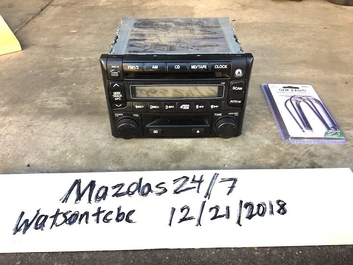 IMG_8491 head unit 3-4 and ears 247 8x10.webp