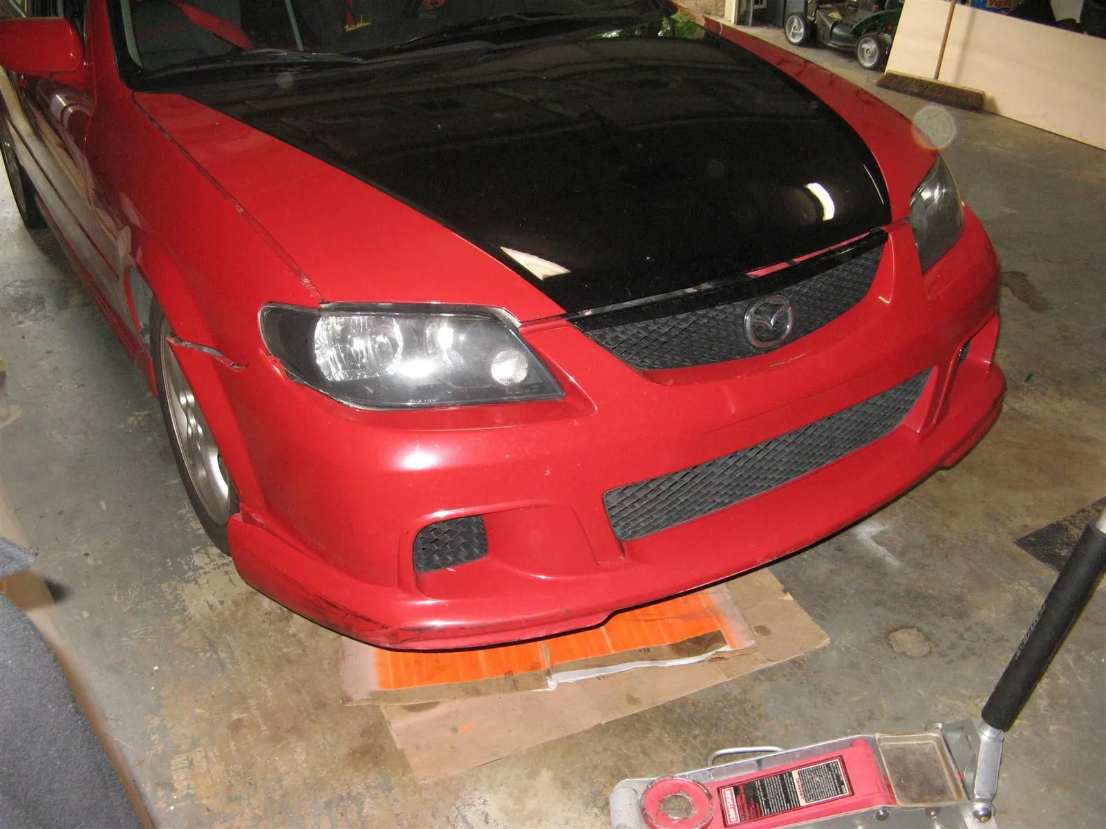 IMG_9230 (Custom).webp