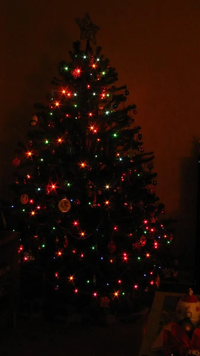 IMG_9941 (Custom).webp