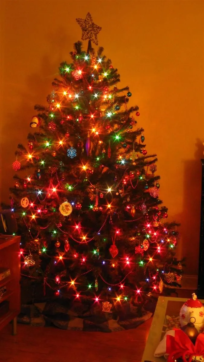 IMG_9942 (Custom).webp