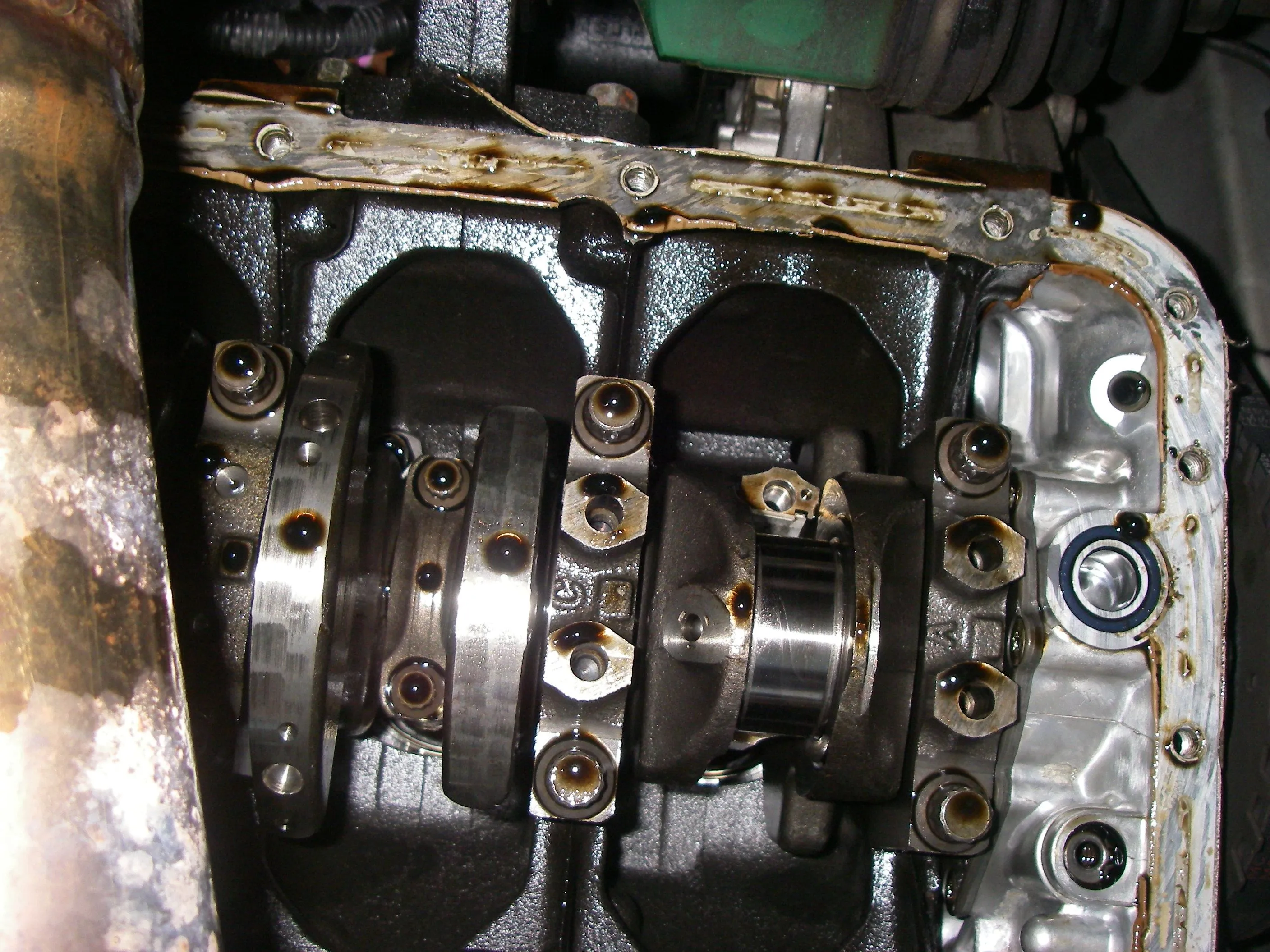 IMGP0174.JPG