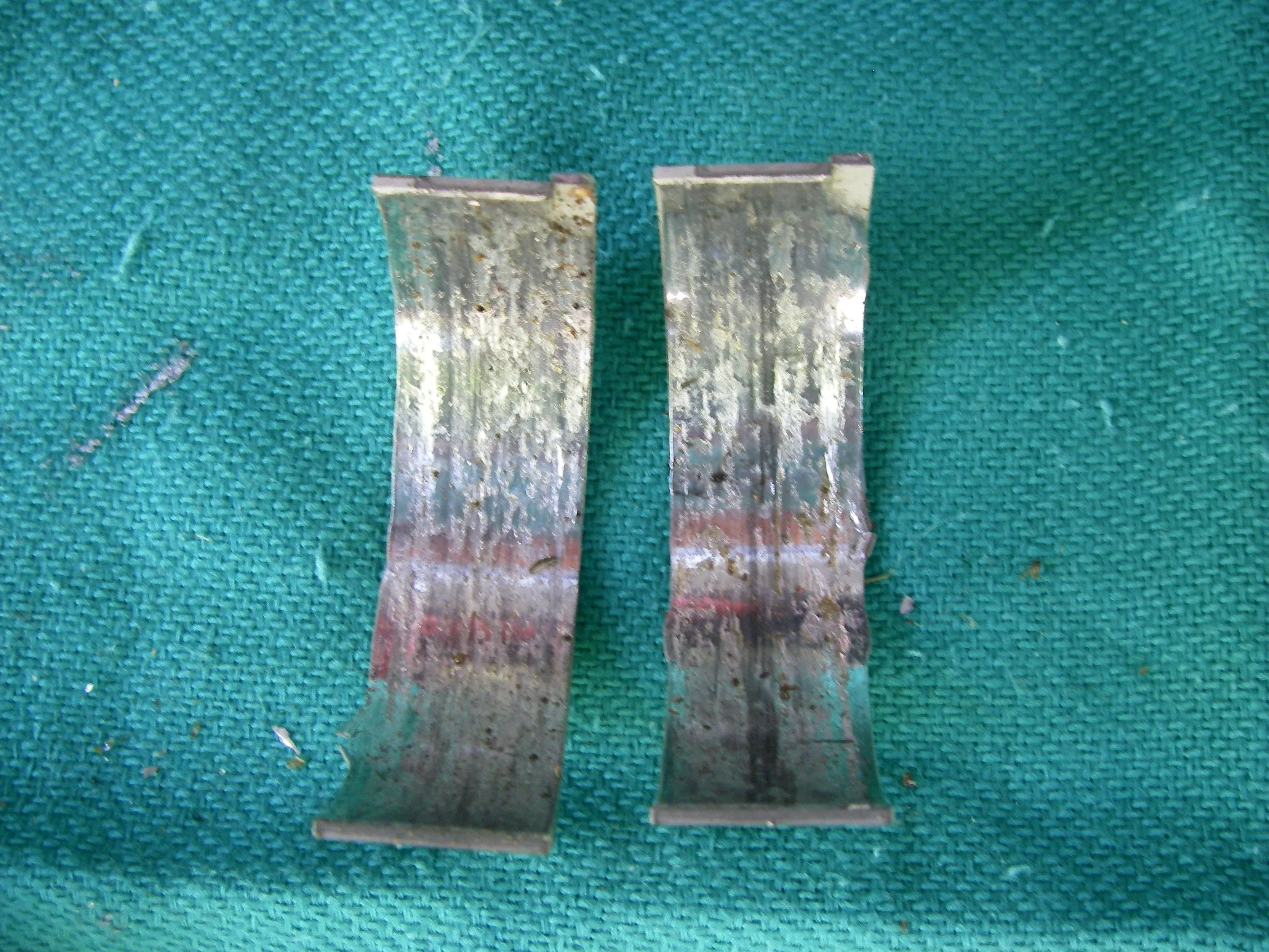 IMGP0187.JPG