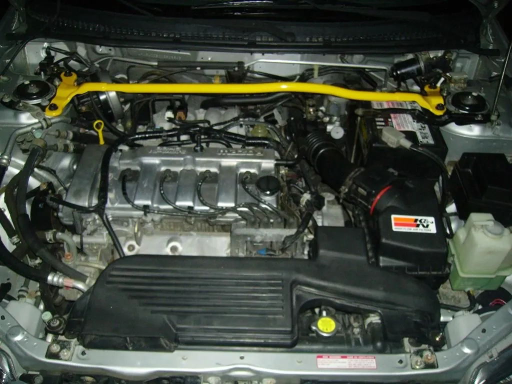 IMGP0454 (Large).webp