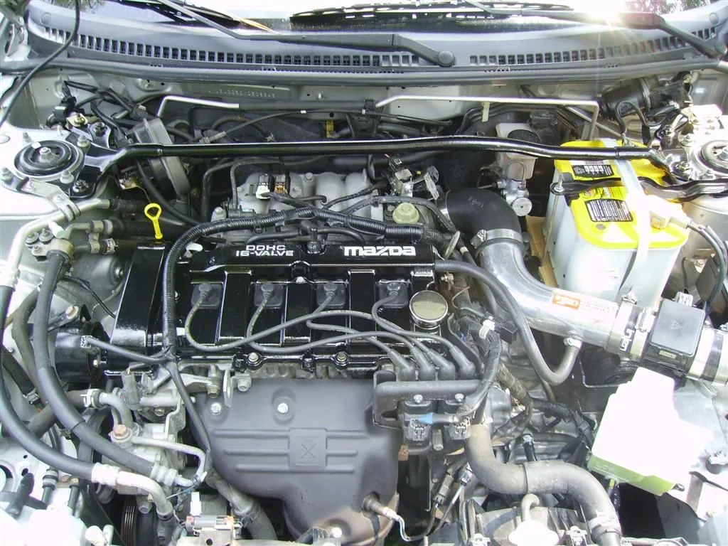 IMGP0505 (Large).webp