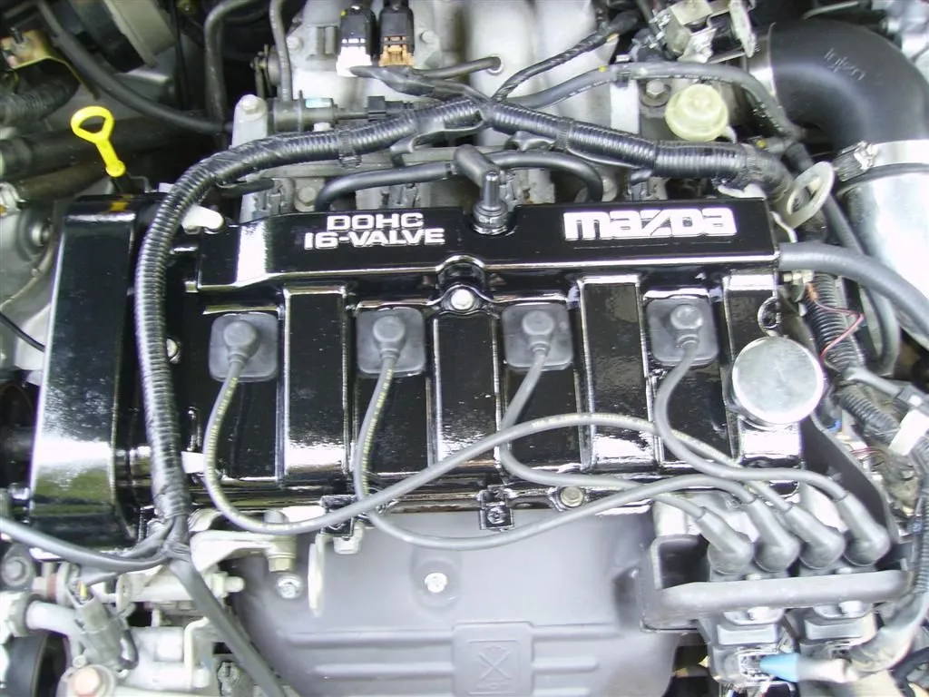 IMGP0508 (Large).webp