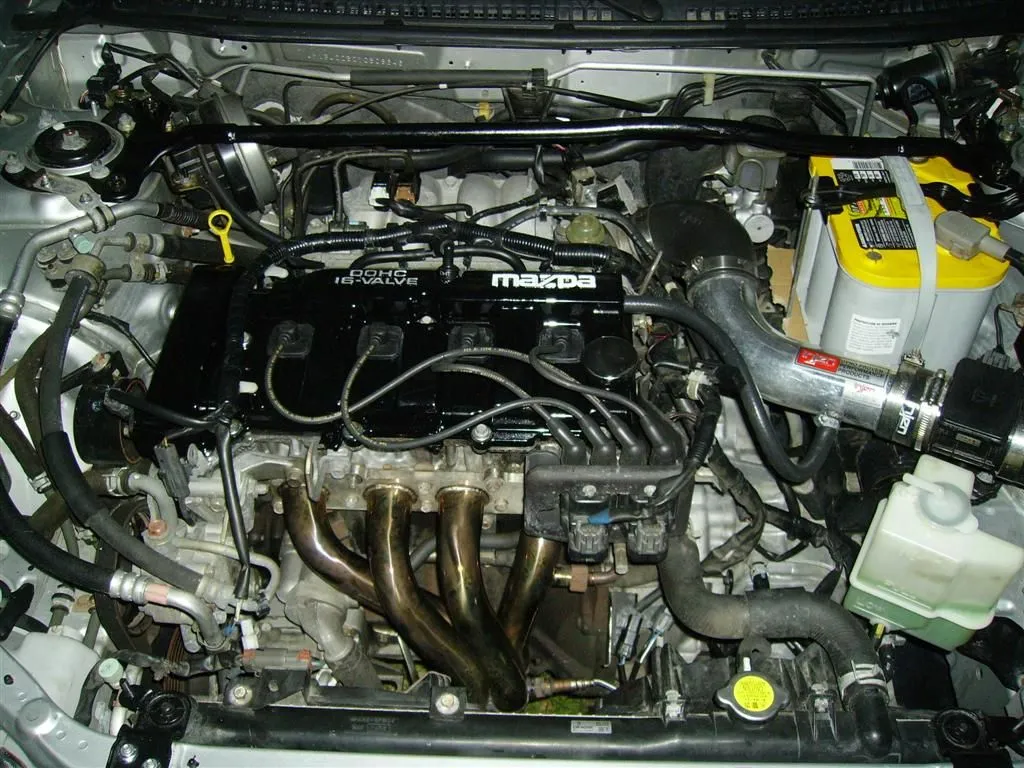 IMGP0509 (Large).webp