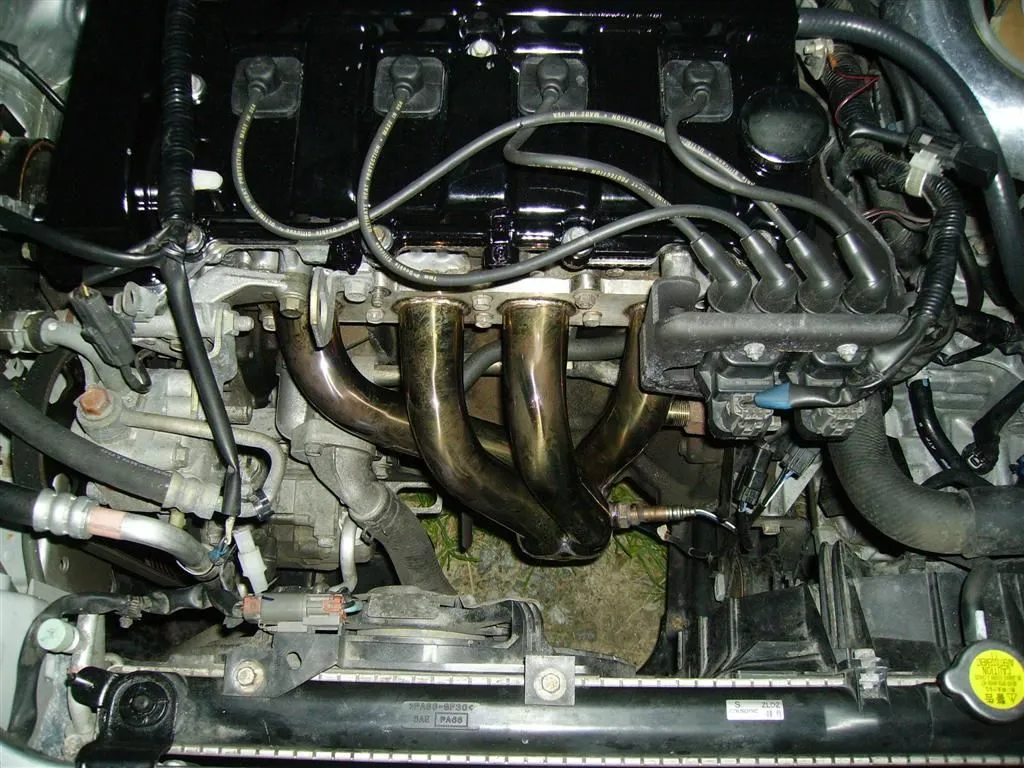 IMGP0510 (Large).webp