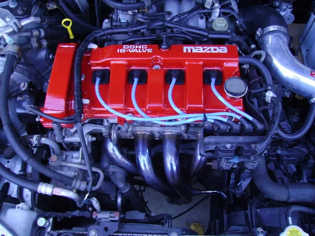 IMGP0555 (Large).webp