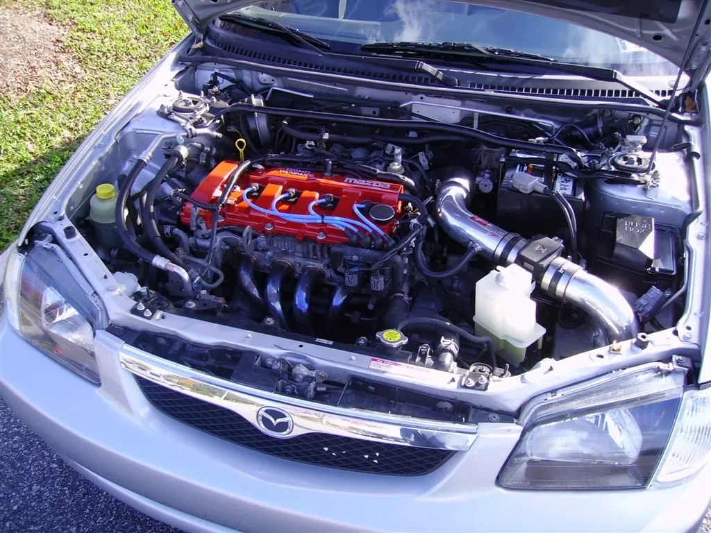 IMGP0593 (Large).webp