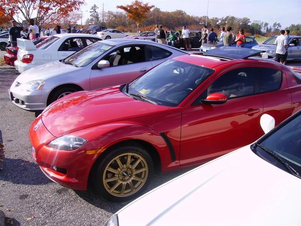 IMGP0596 (Large).webp