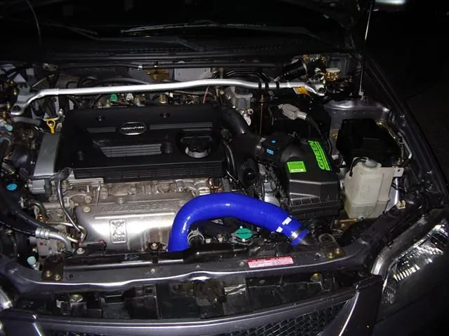 IMGP2297 (Small).JPG
