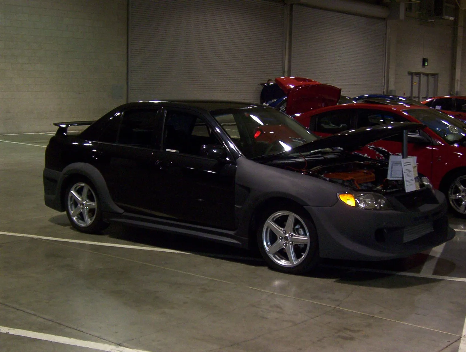 import motion 008.webp