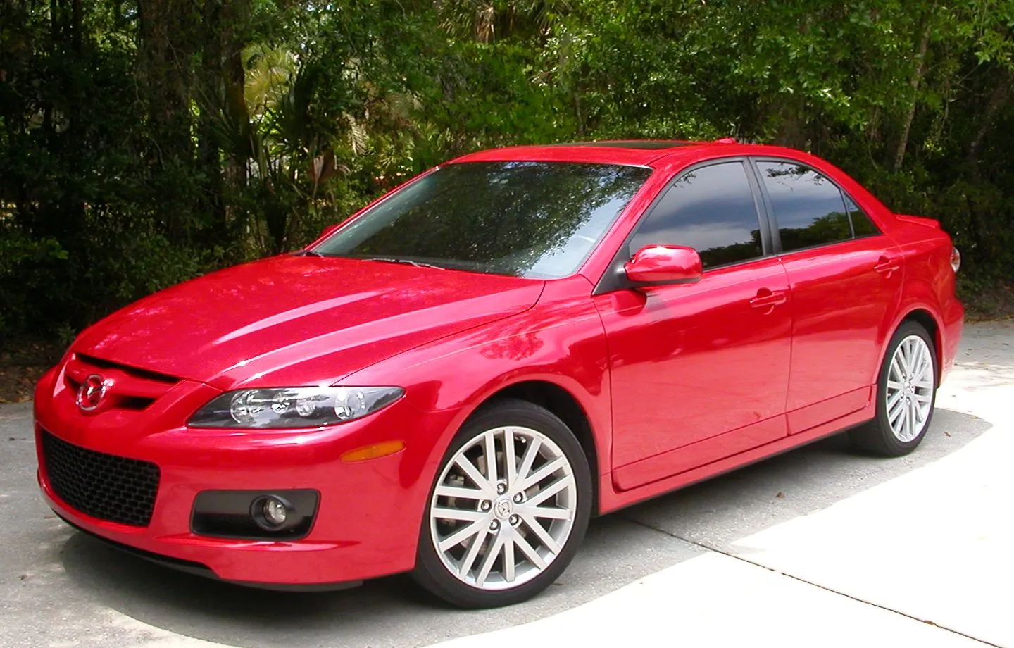 Imported Photos 00005.JPG