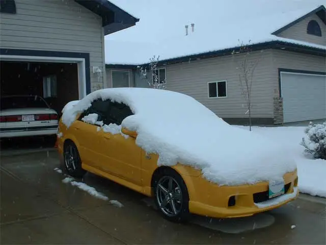in_snow_04.jpg