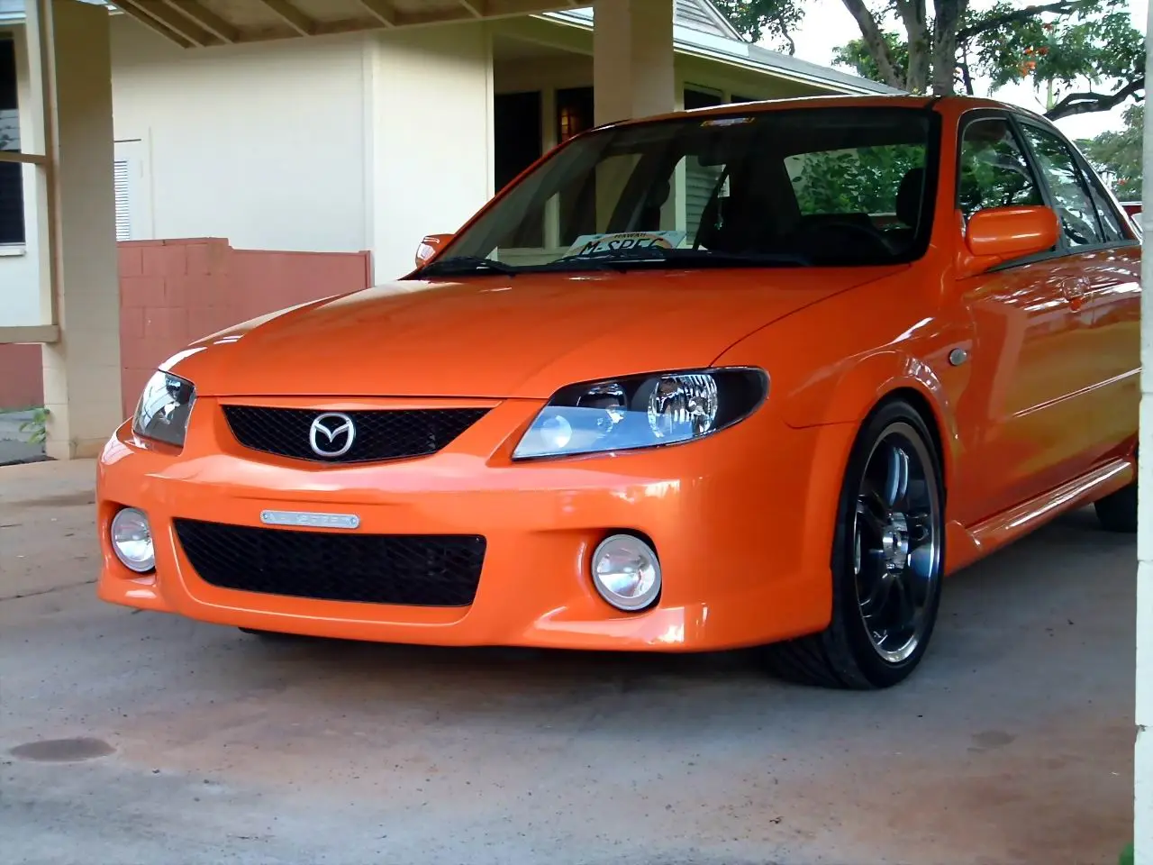 jdm (2).jpg