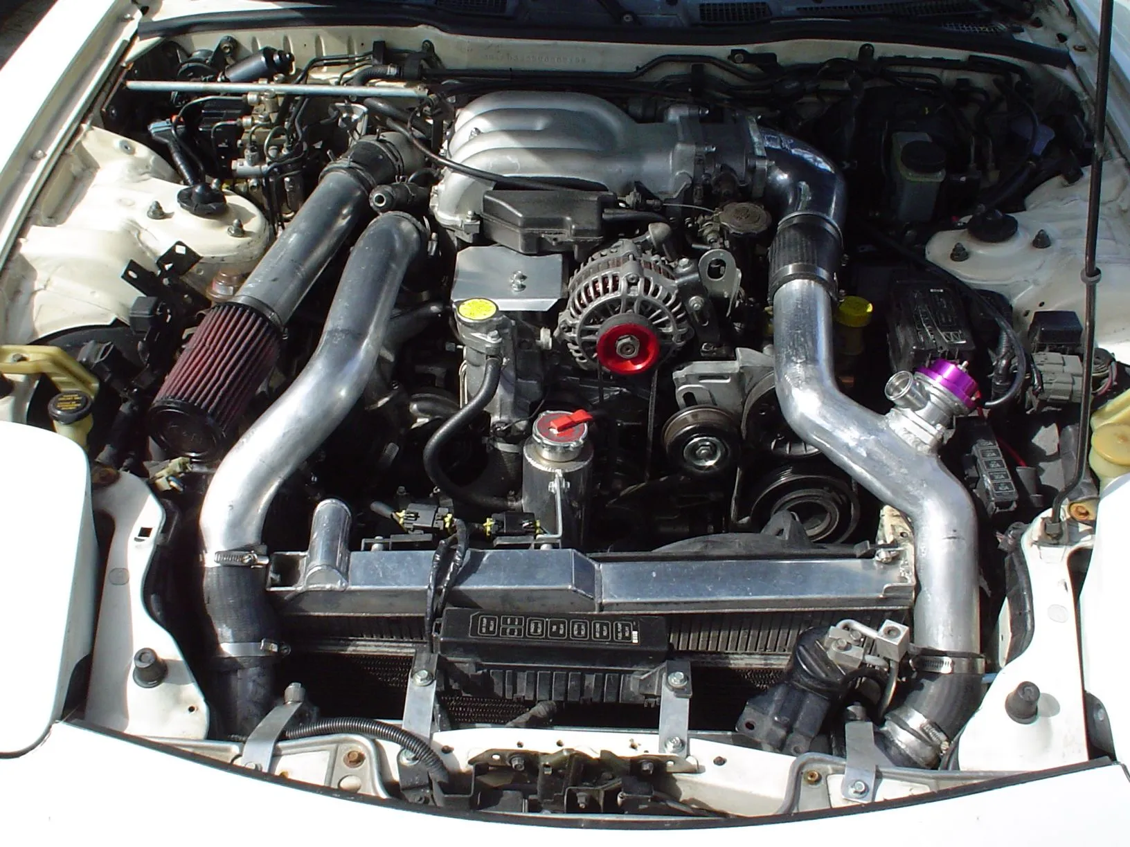 jeffcarpics 007.webp