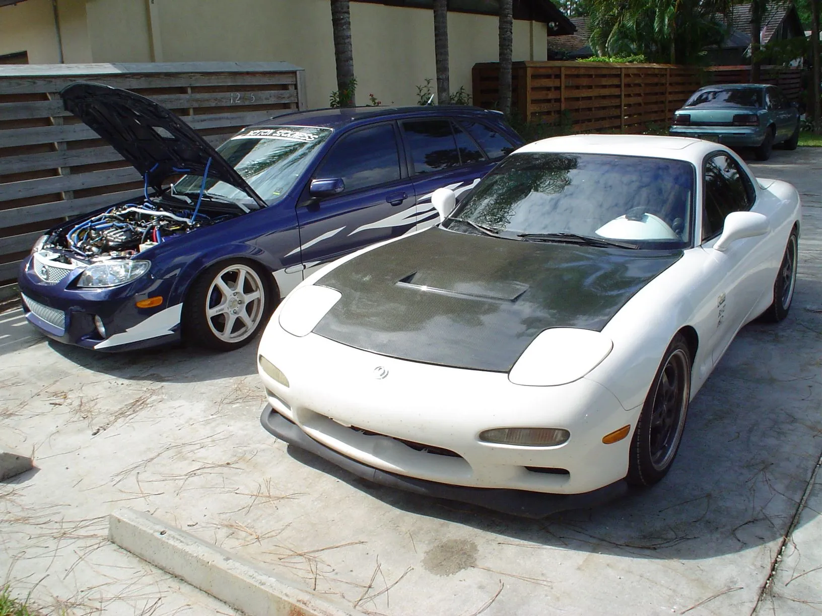 jeffcarpics 008.webp