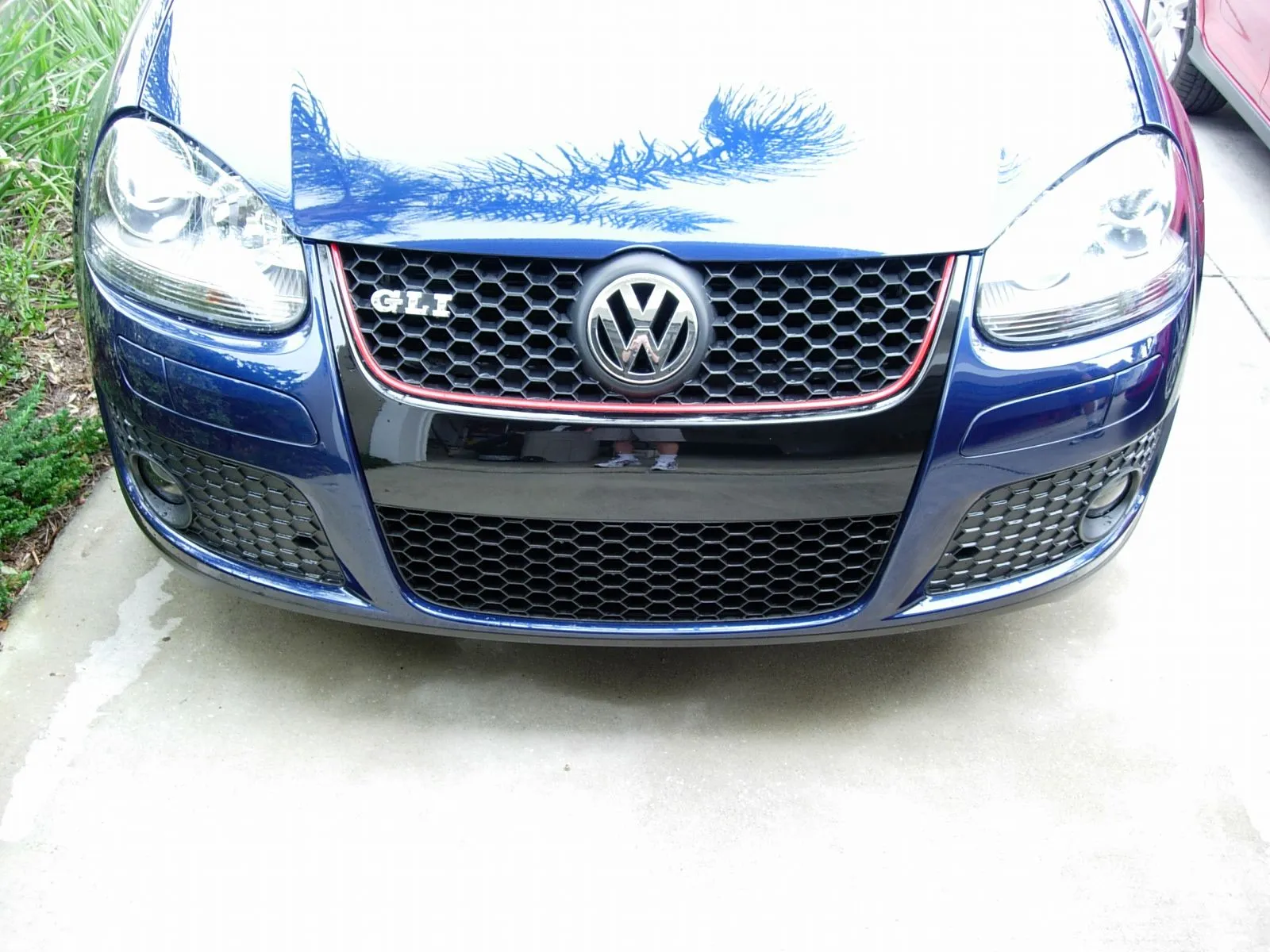 Jetta 7.webp