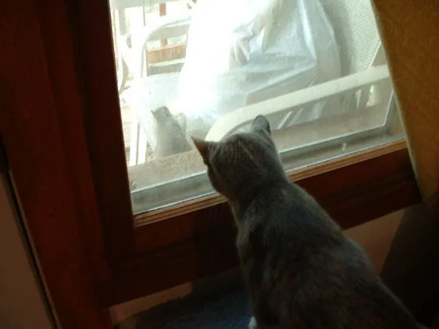 JPG KC & Squirrel.webp